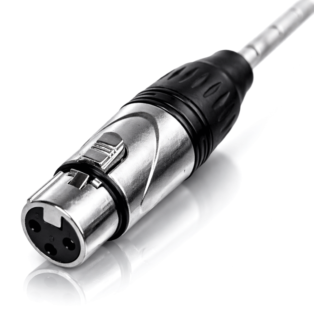 Seismic Audio XLR Snake Cable
