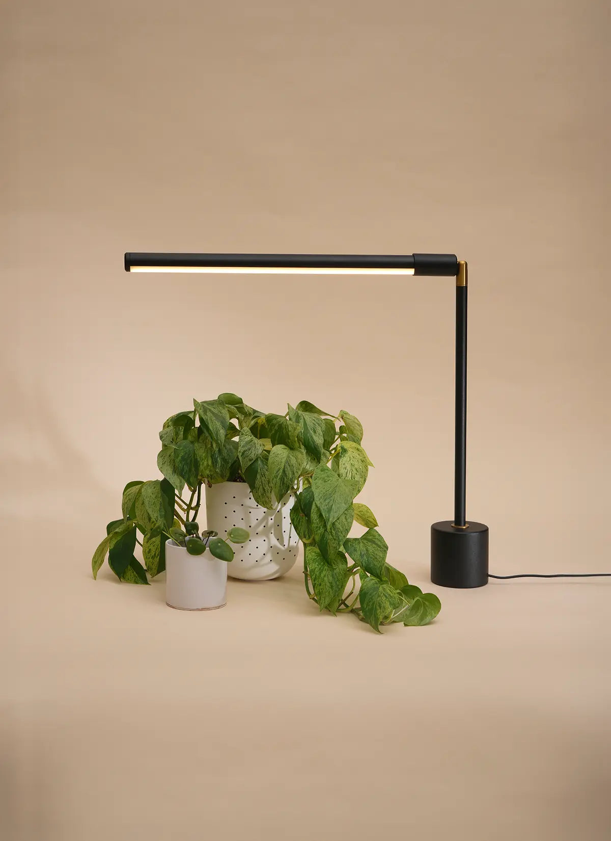 Soltech LED Tabletop Grow Light