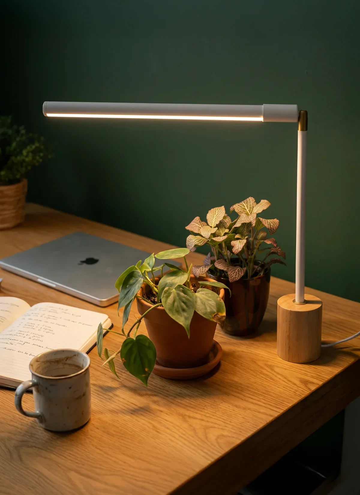 Soltech LED Tabletop Grow Light
