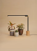 Soltech LED Tabletop Grow Light