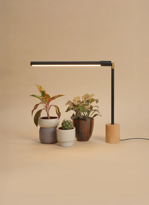 Soltech LED Tabletop Grow Light