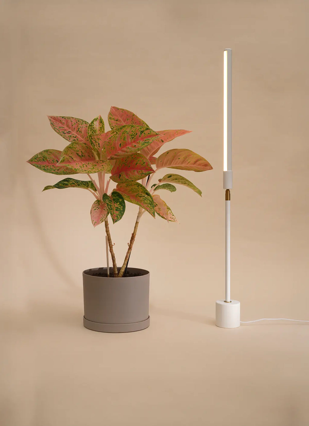 Soltech LED Tabletop Grow Light