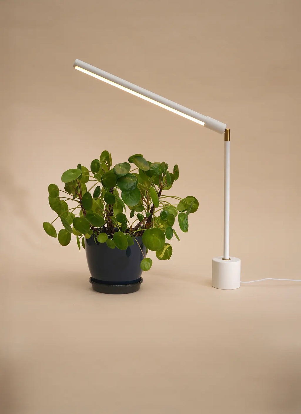 Soltech LED Tabletop Grow Light
