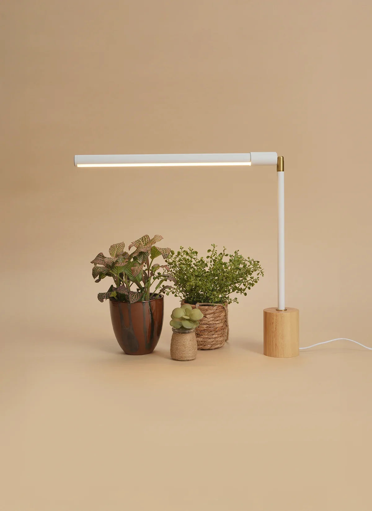Soltech LED Tabletop Grow Light