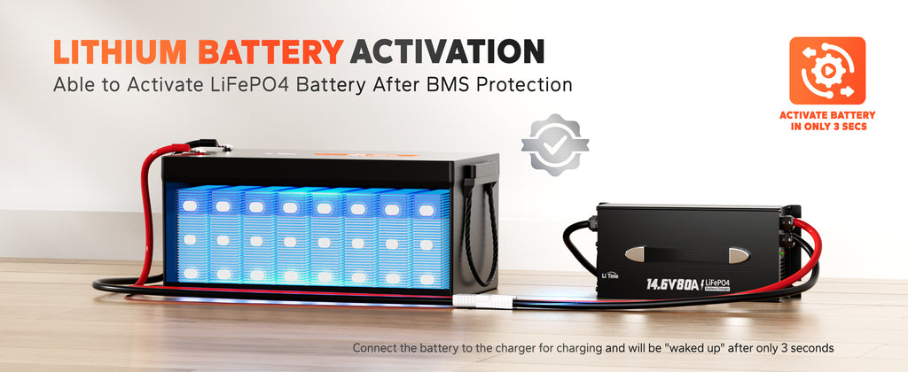 LiTime-US Battery Charger