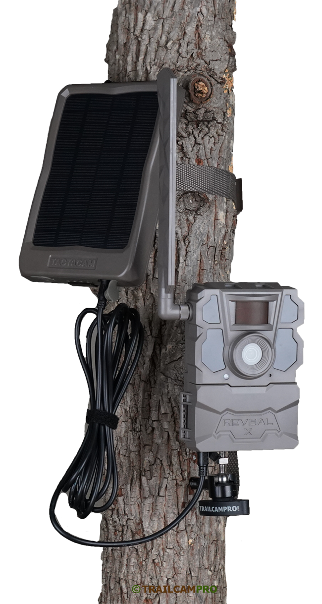 Tactacam 12V Trail Camera Solar Panel Kit