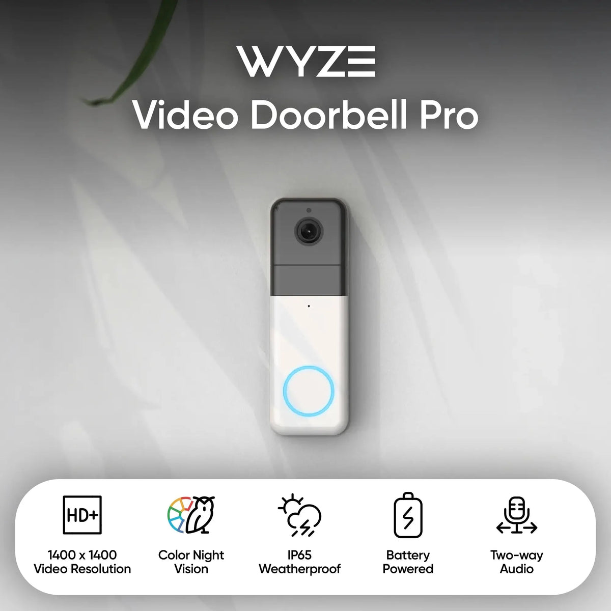 Wyze Battery Video Doorbell