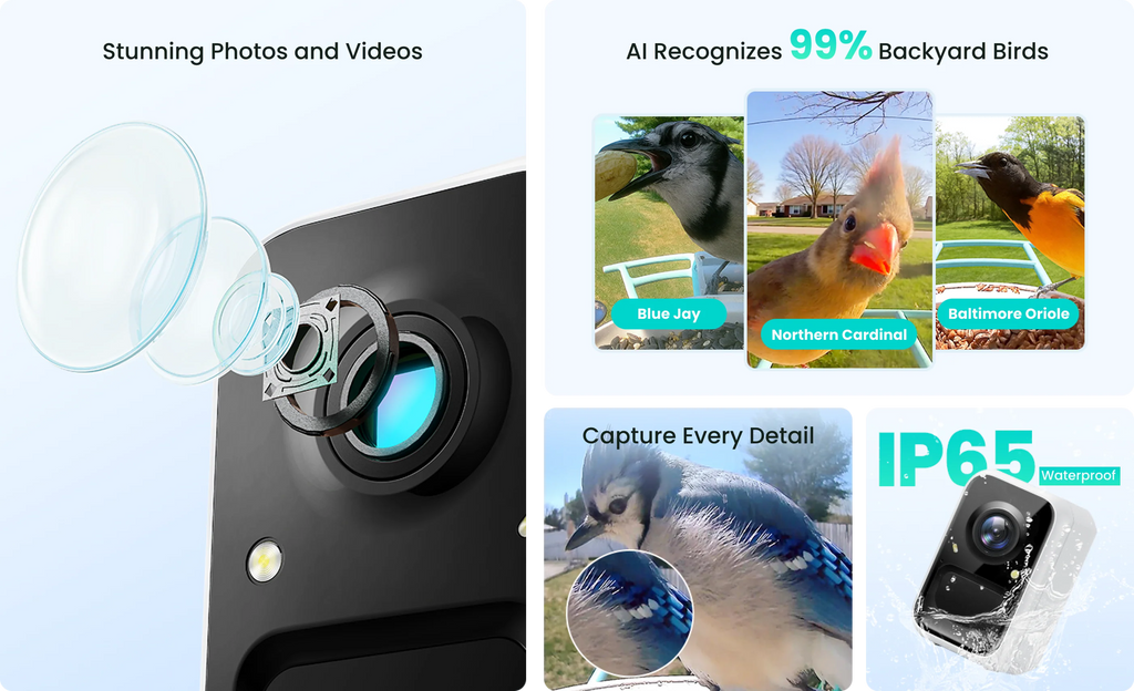 Birdfy Smart Bird Feeder with Camera