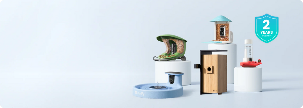 Birdfy Smart Bird Feeder with Camera