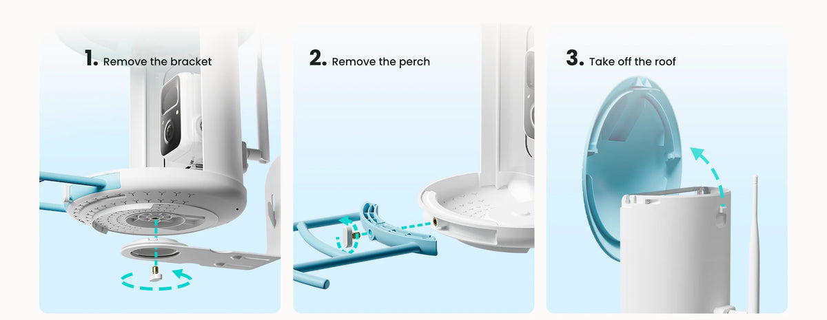 Birdfy Smart Bird Feeder with Camera