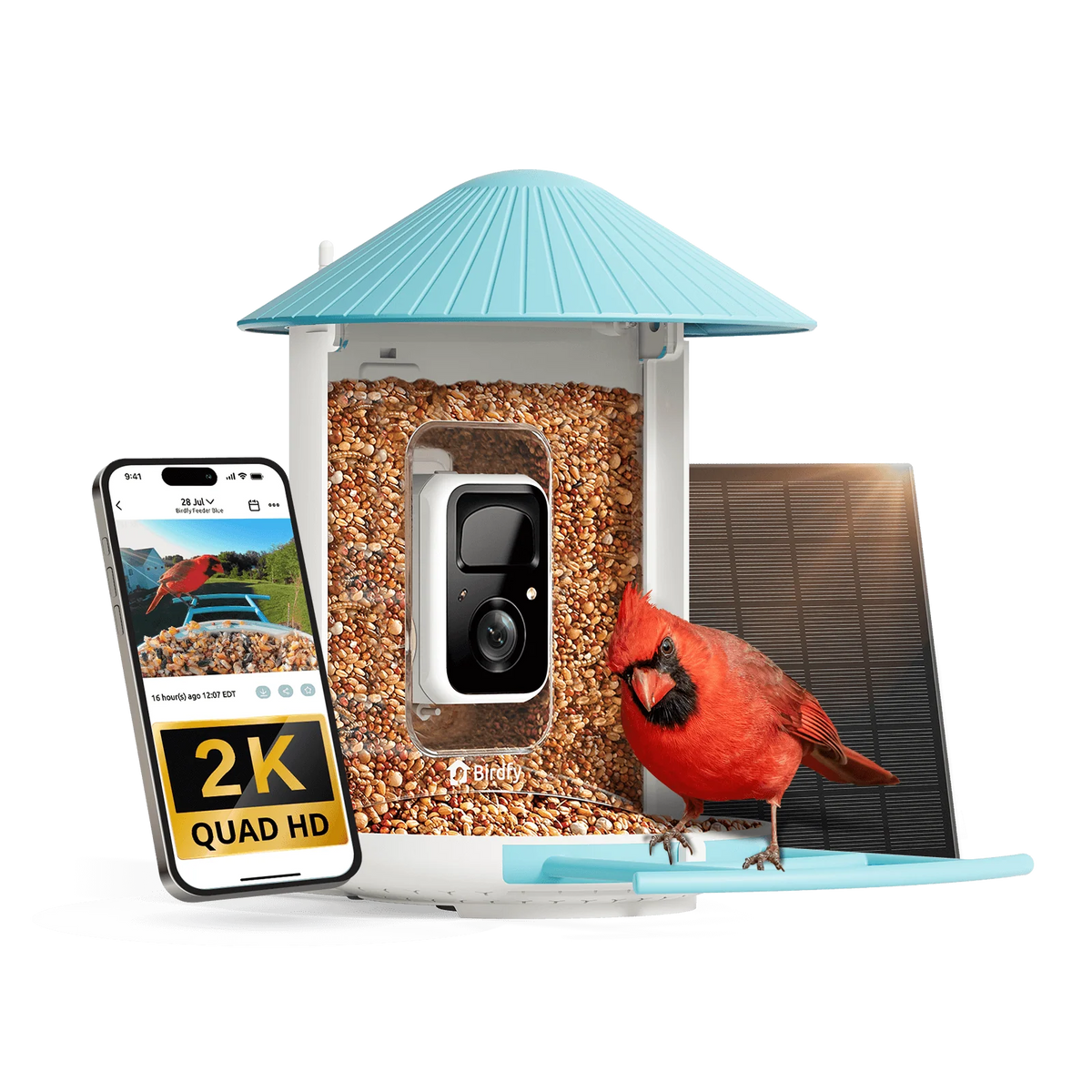 Birdfy Smart Bird Feeder with Camera