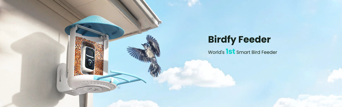 Birdfy Smart Bird Feeder with Camera