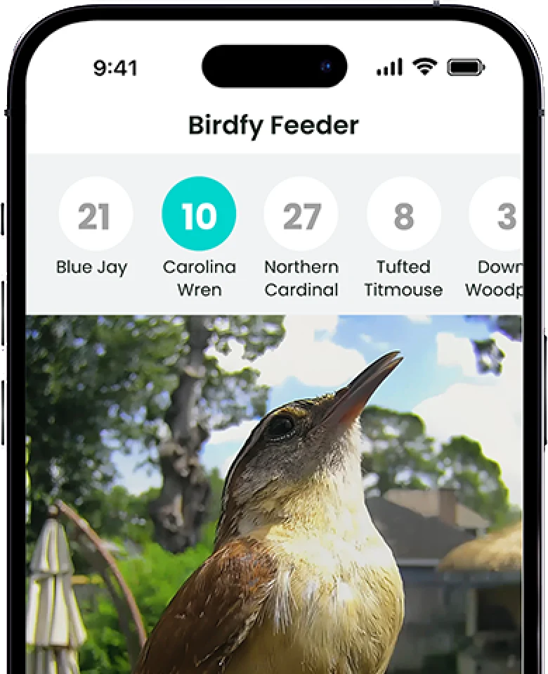 Birdfy Smart Bird Feeder with Camera