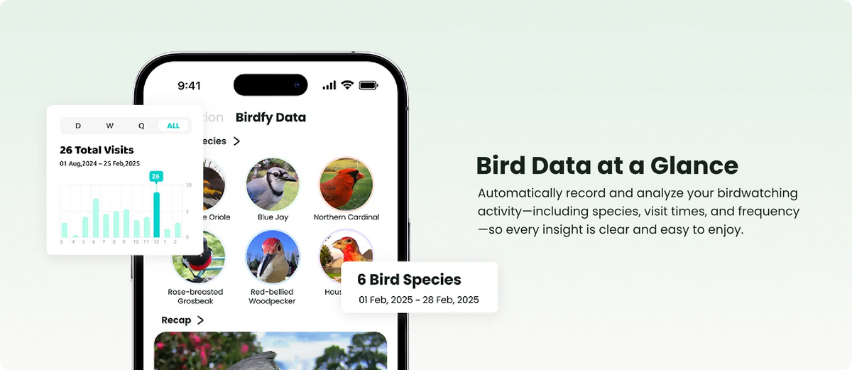 Birdfy Smart Bird Feeder with Camera