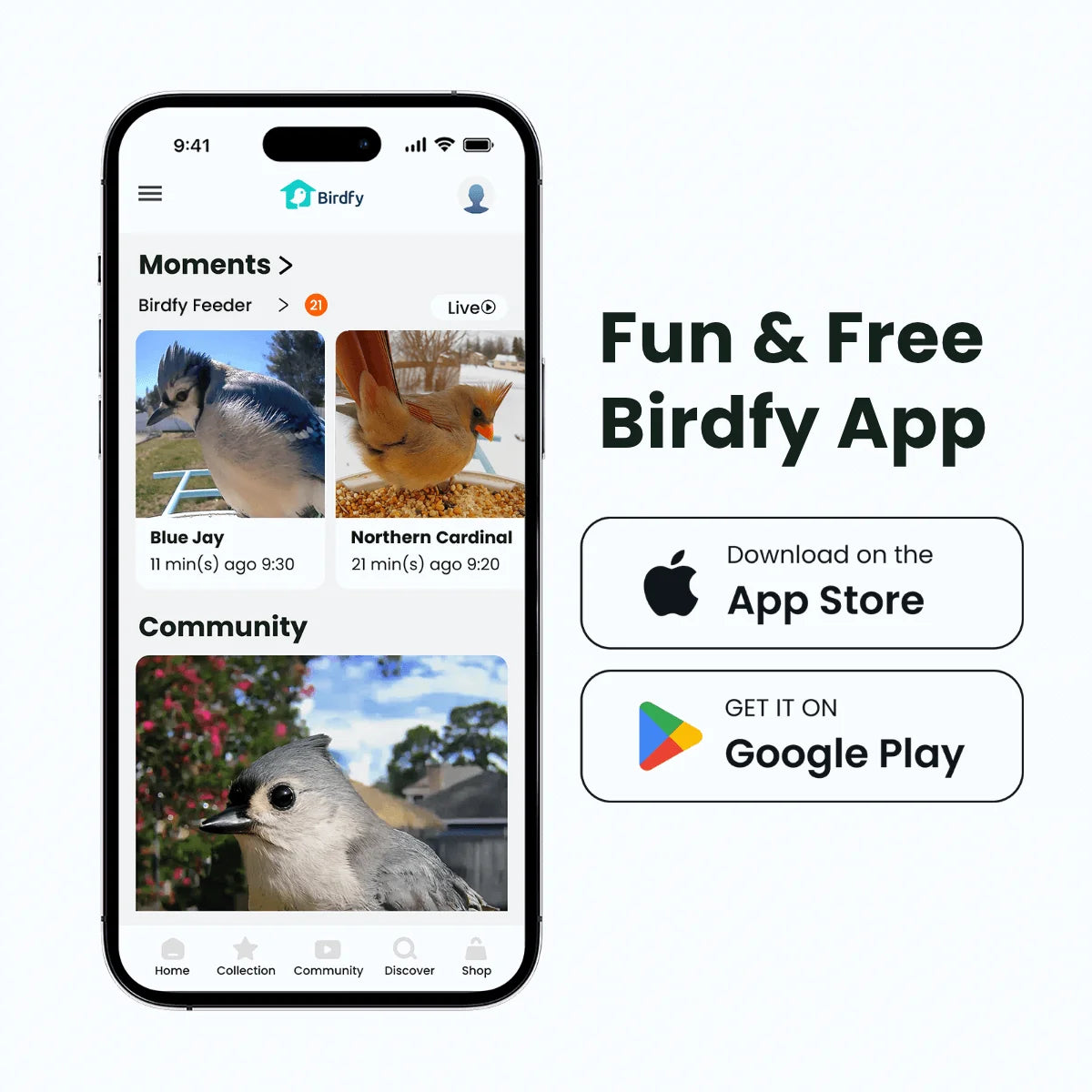 Birdfy Smart Bird Feeder with Camera