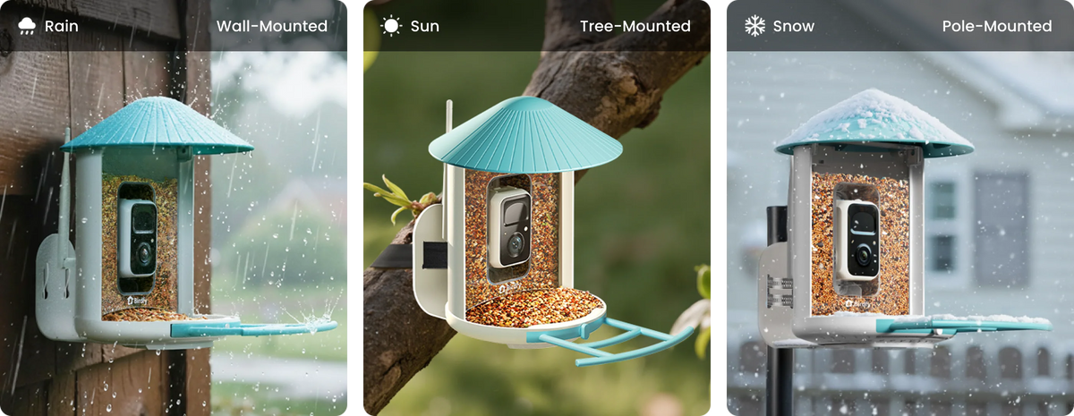 Birdfy Smart Bird Feeder with Camera