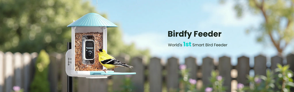 Birdfy Smart Bird Feeder with Camera