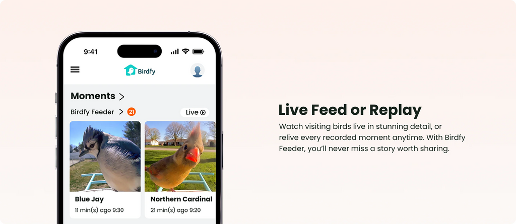 Birdfy Smart Bird Feeder with Camera