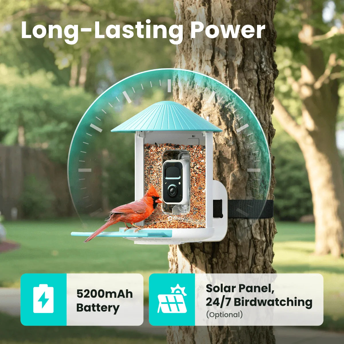 Birdfy Smart Bird Feeder with Camera