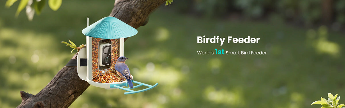 Birdfy Smart Bird Feeder with Camera