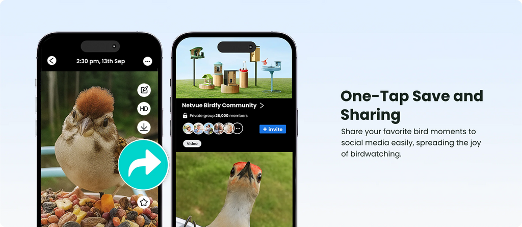 Birdfy Smart Bird Feeder with Camera