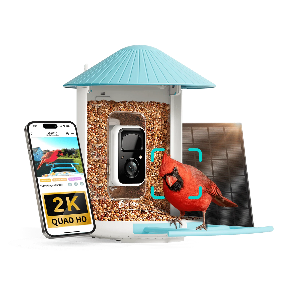 Birdfy Smart Bird Feeder with Camera