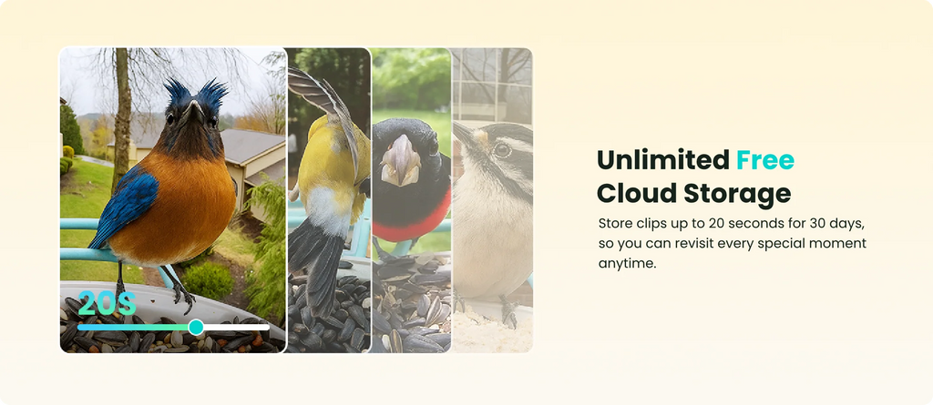 Birdfy Smart Bird Feeder with Camera