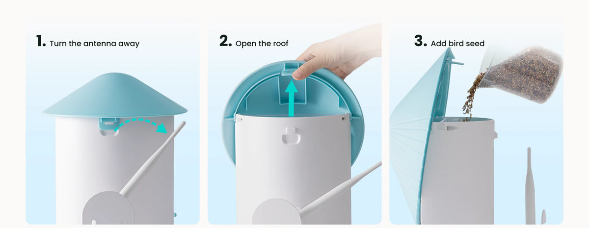 Birdfy Smart Bird Feeder with Camera