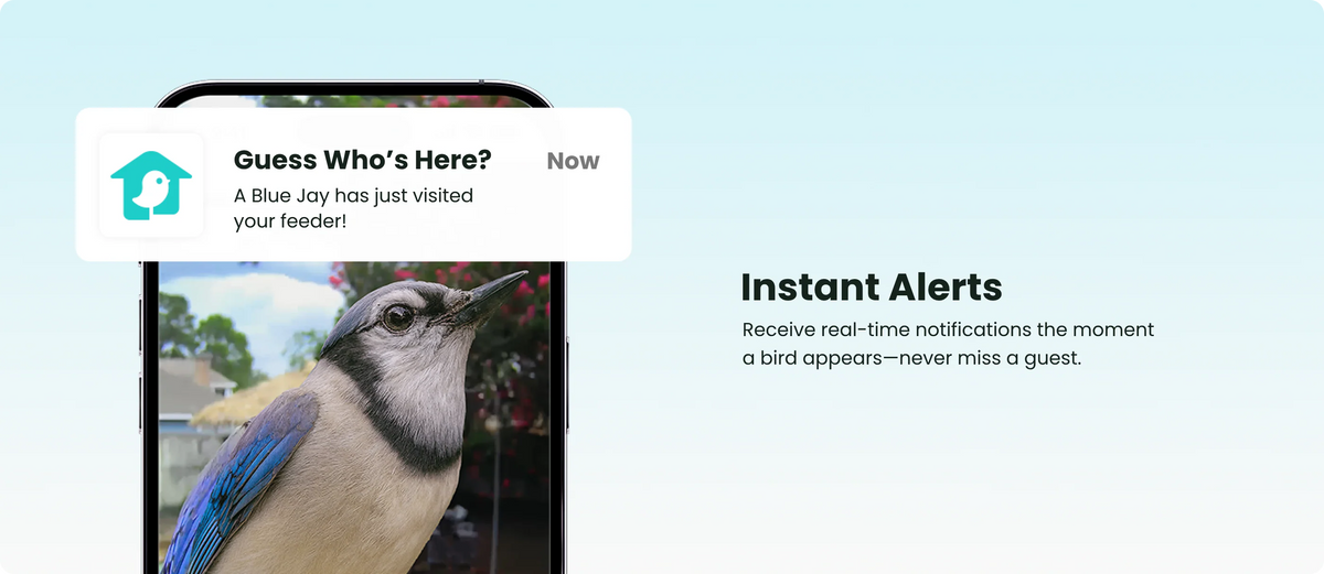 Birdfy Smart Bird Feeder with Camera