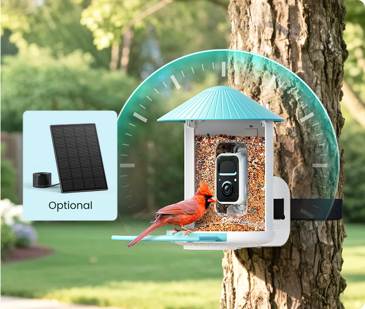 Birdfy Smart Bird Feeder with Camera