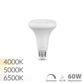 Waveform Lighting BR30 LED Light Bulb