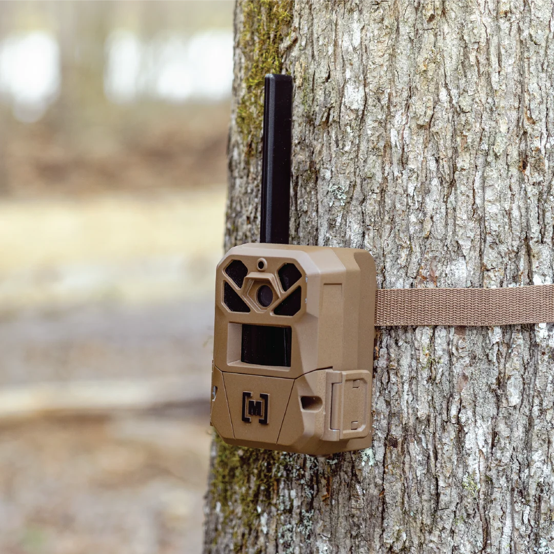 Moultrie Cellular Trail Camera