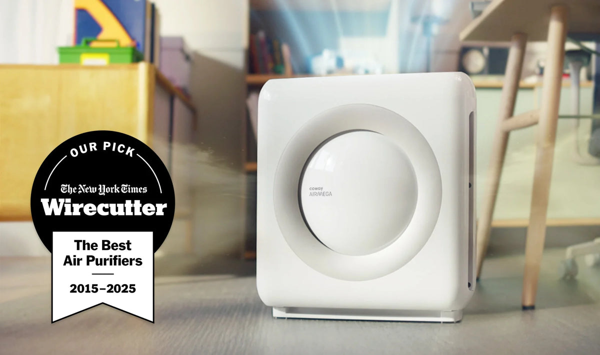 Cowaymega Air Purifier