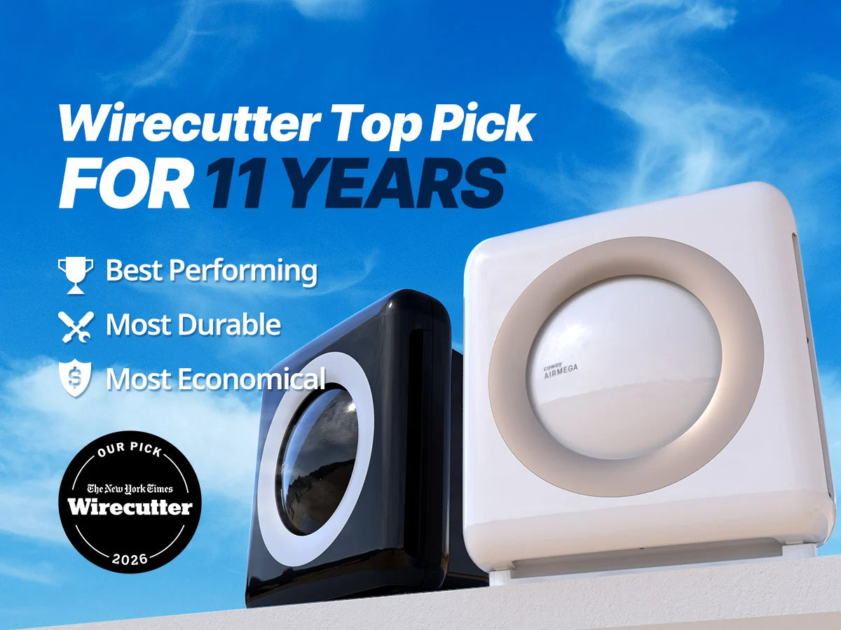 Cowaymega Air Purifier