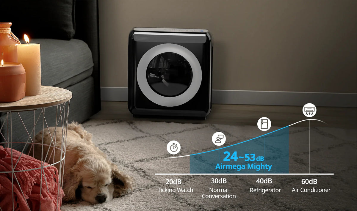 Cowaymega Air Purifier