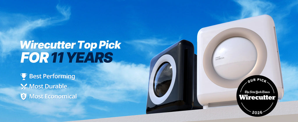 Cowaymega Air Purifier