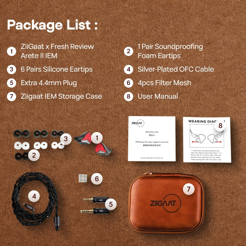 ZiiGaat Wired Hybrid In-Ear Monitors