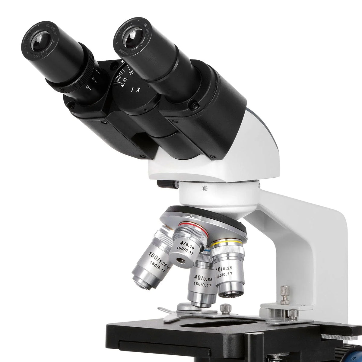 AmScope Compound Microscope