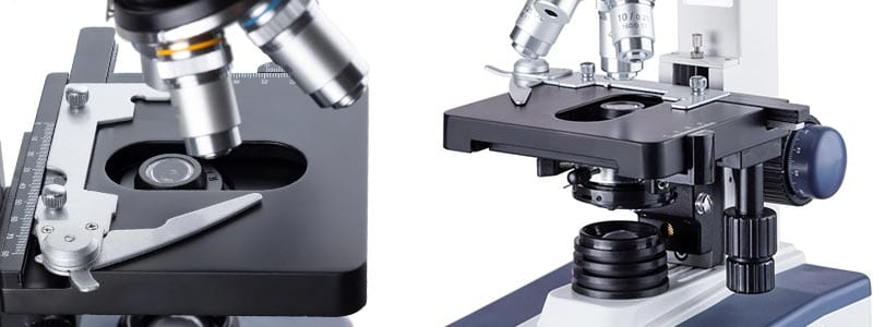 AmScope Binocular Compound Microscope