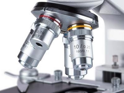 AmScope Binocular Compound Microscope