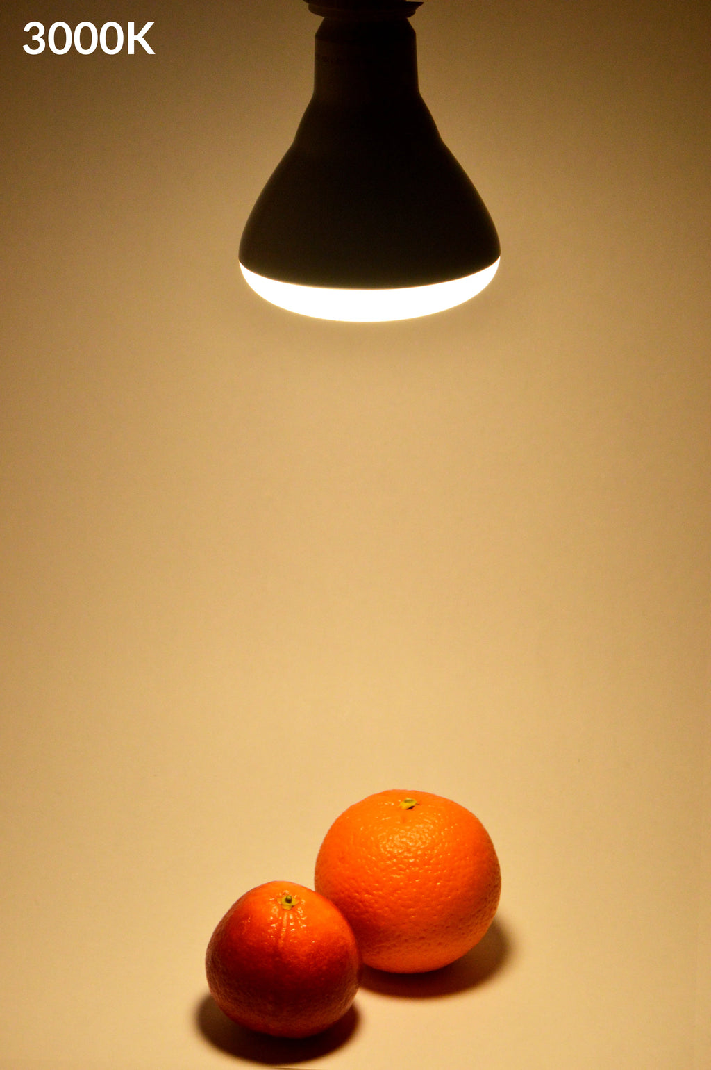 Waveform Lighting LED Light Bulb