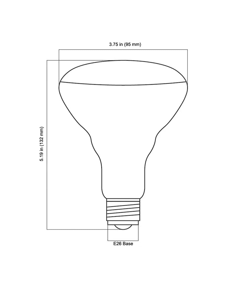 Waveform Lighting LED Light Bulb