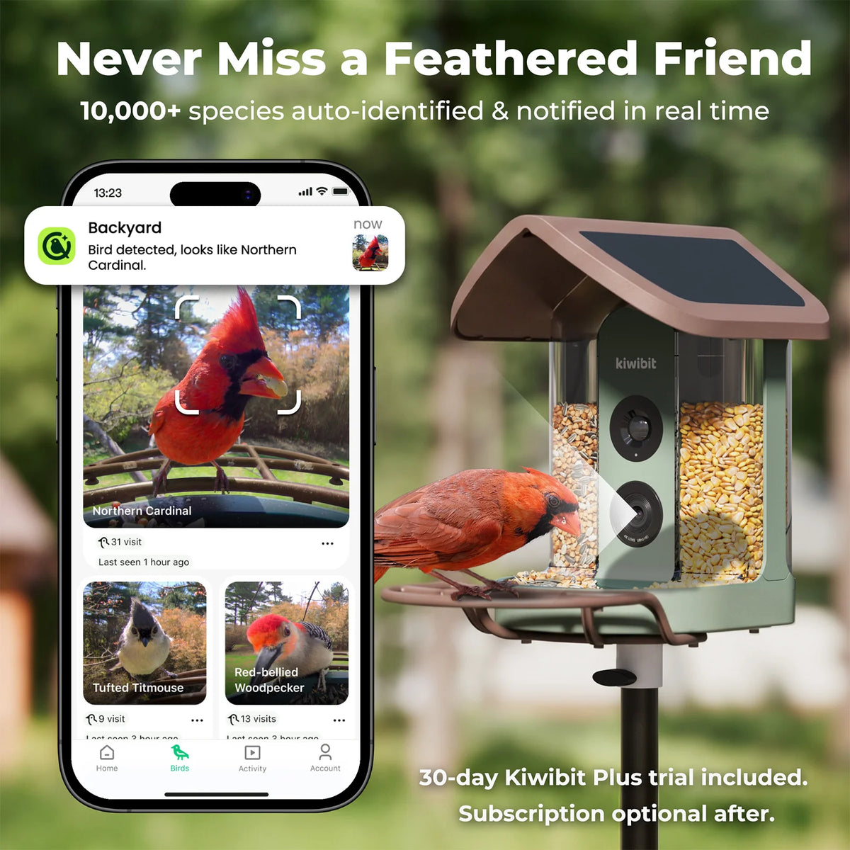 Kiwibit Smart Bird Feeder Camera