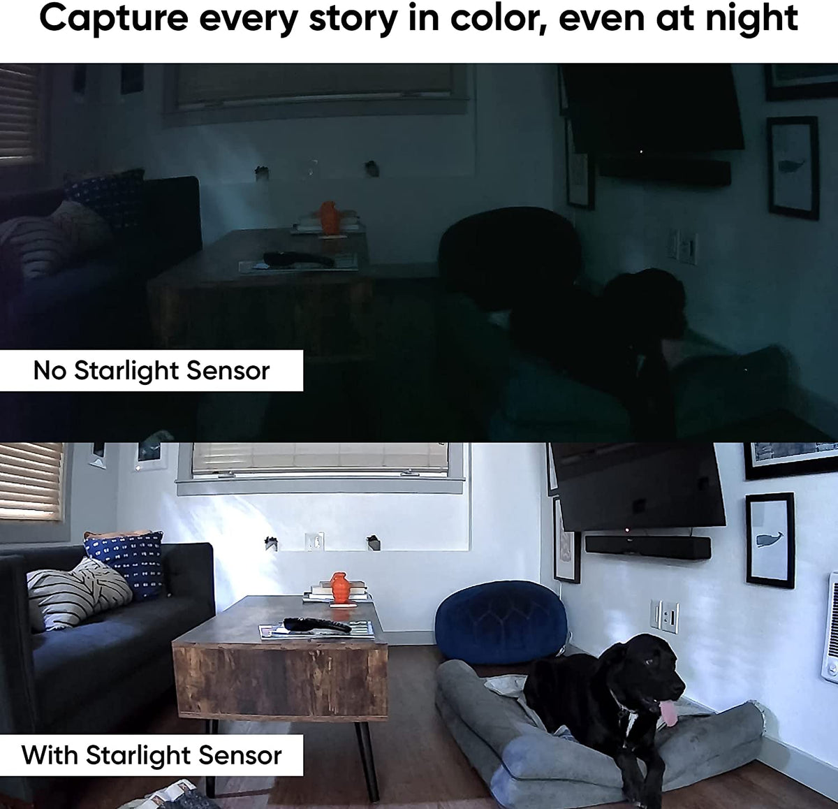 Wyze Pan and Tilt Security Camera