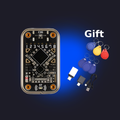 M5Shark | Shark devices M5StickC Plus 2 & T-Embed CC1101 Modules - Shop Now RFID Security Testing Tool
