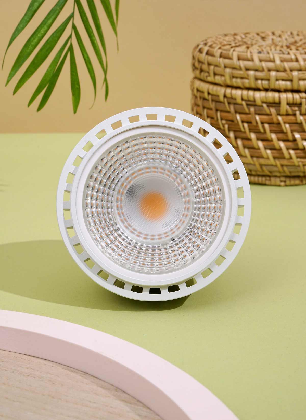 Soltech Dimmable LED Grow Light Bulb
