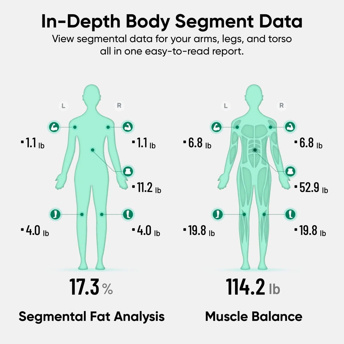 Wyze Smart Body Composition Scale