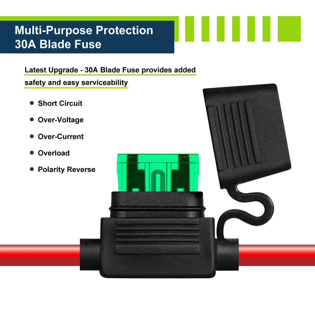 ExpertPower Direct LiFePO4 Battery Charger