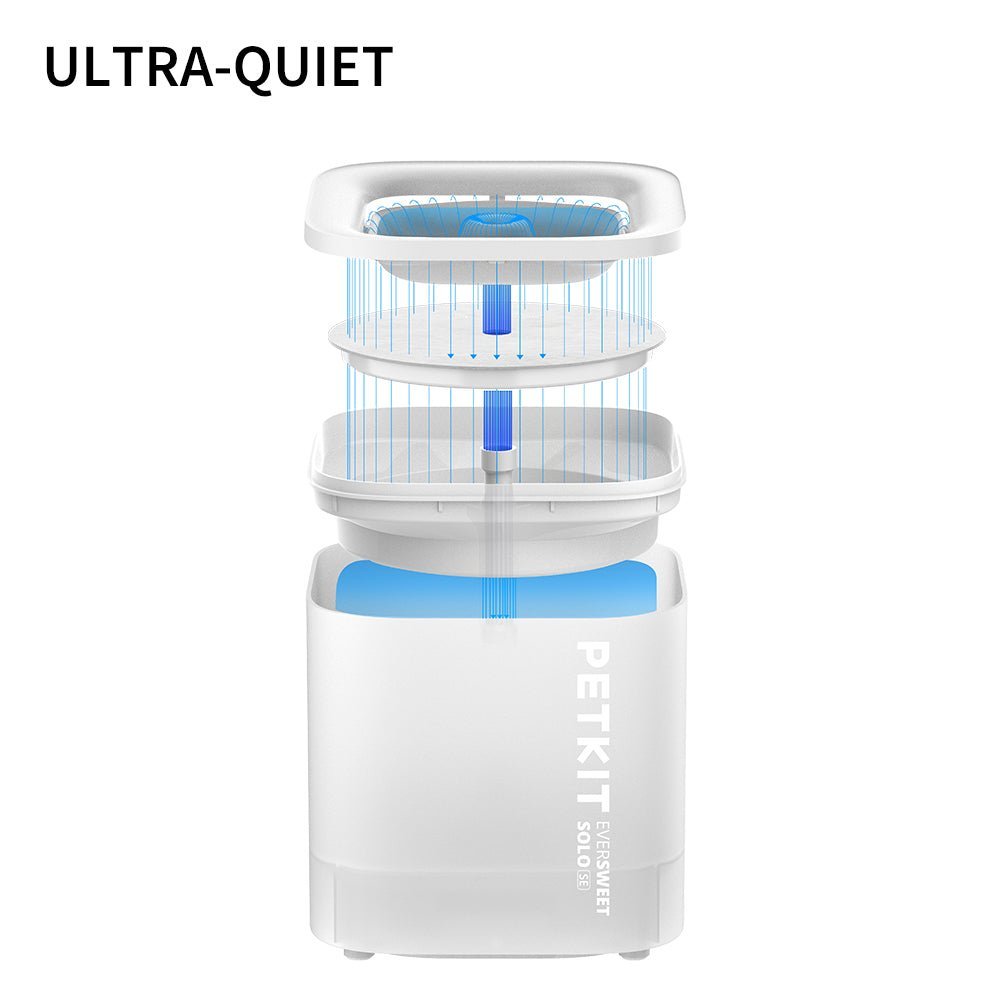 Easy-to-use & No App Required Pet Water Fountains