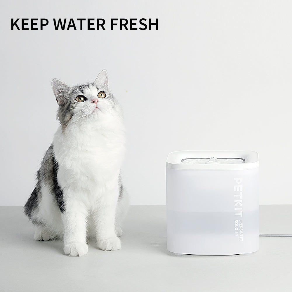 Easy-to-use & No App Required Pet Water Fountains